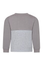sweatshirt-gris-requin