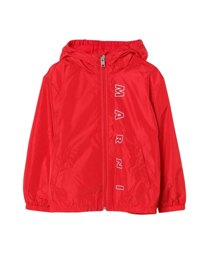 veste-a-capuche