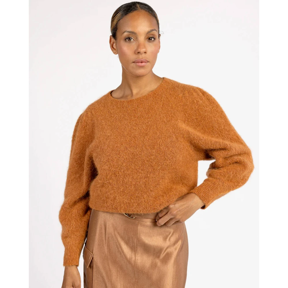 Aaiko Denize Pullover Brown Dames