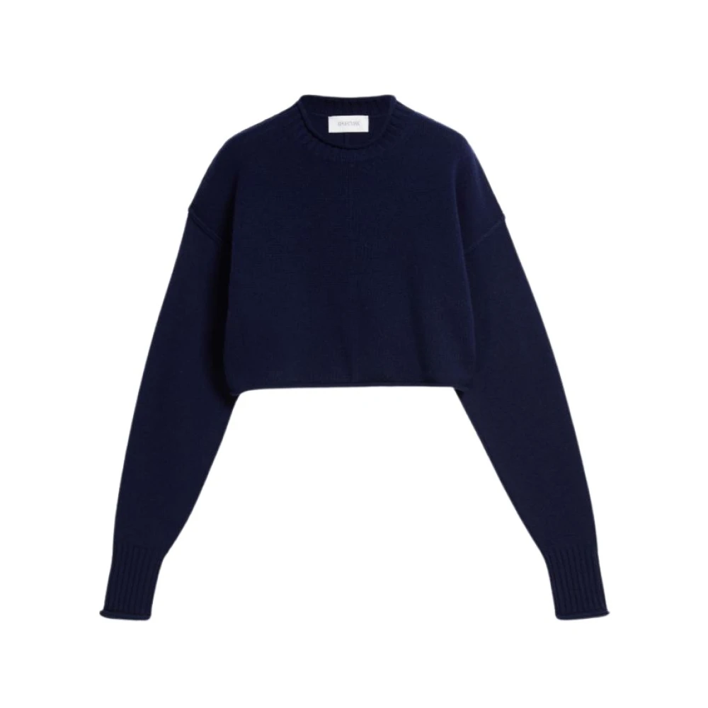 SPORTMAX Maiorca Pullover Sweater Blue Dames