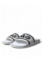 elegant-white-logo-slides