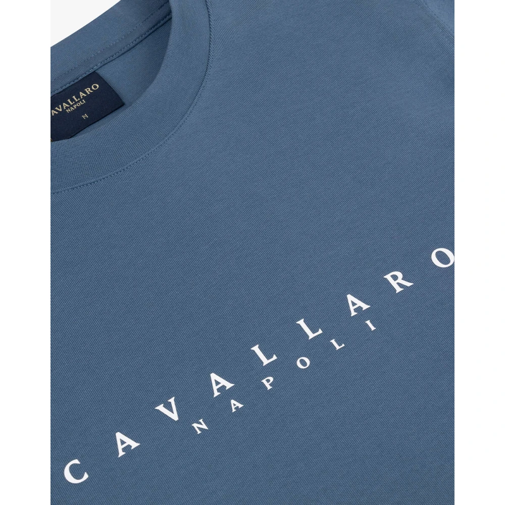 Cavallaro R-Neck Sweatshirt Gray Heren