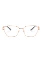 ve1301-1412-optical-frame