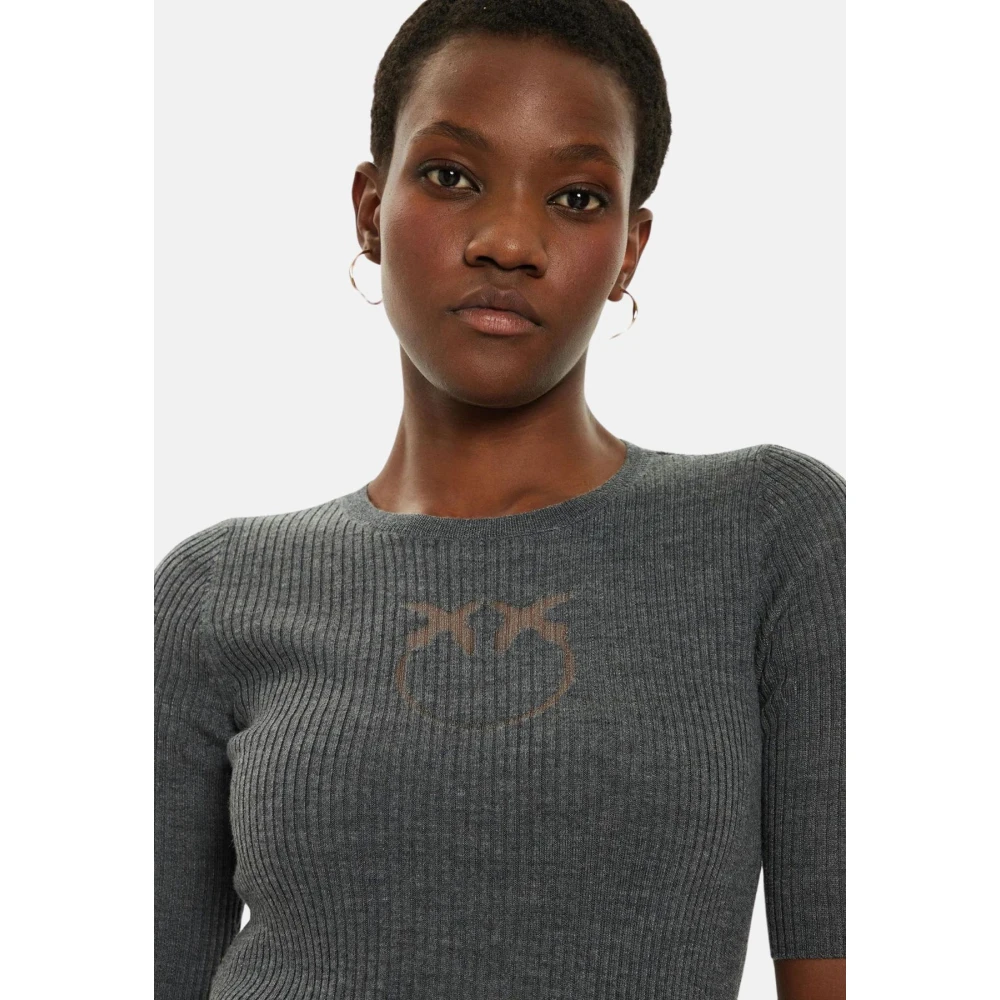 pinko Stijlvolle Gebreide Collectie Gray Dames