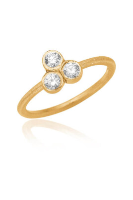 klassisk-14k-guldplaterad-ring-med-zirkonia