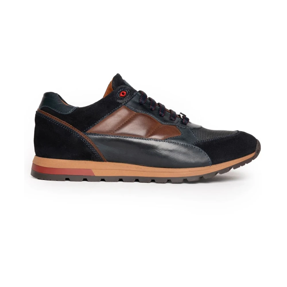 Exton Sneakers 387 Heren Schoenen Veelkleurig Multicolor
