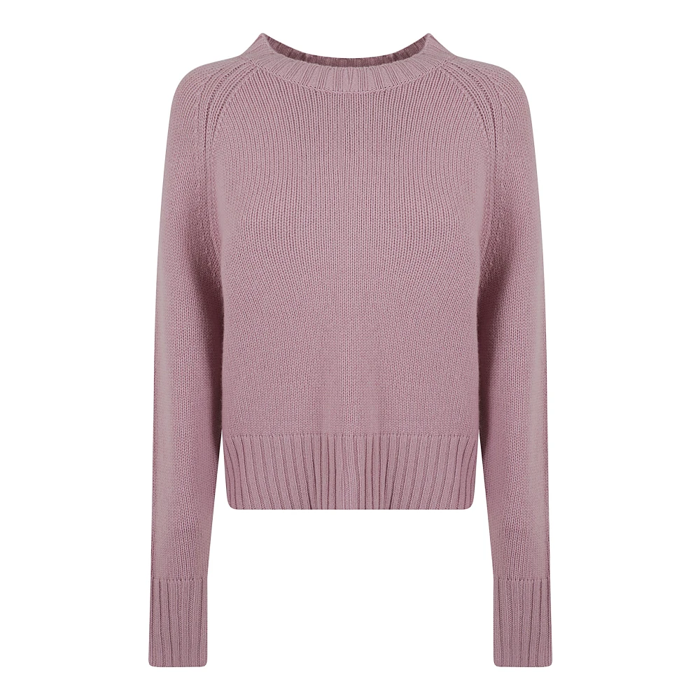 Allude Victoriaanse Sweater voor Vrouwen Pink Dames