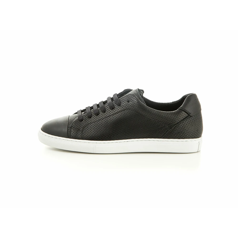 Camino 71 71 Low Perforated Sneaker Dames Schoenen Zwart