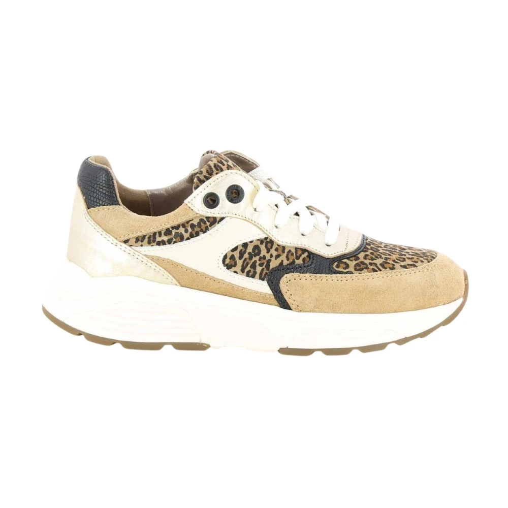 Xsensible Ponte Vecchio Z6 Dames Schoenen Bruin