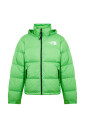 retro-nuptse-down-jacket