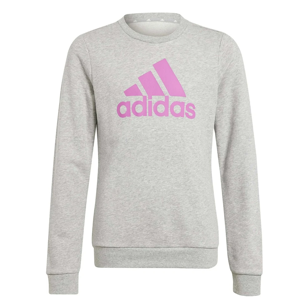 Adidas G Bl Swt Sportkläder Hoodie för Barn Gray, Unisex