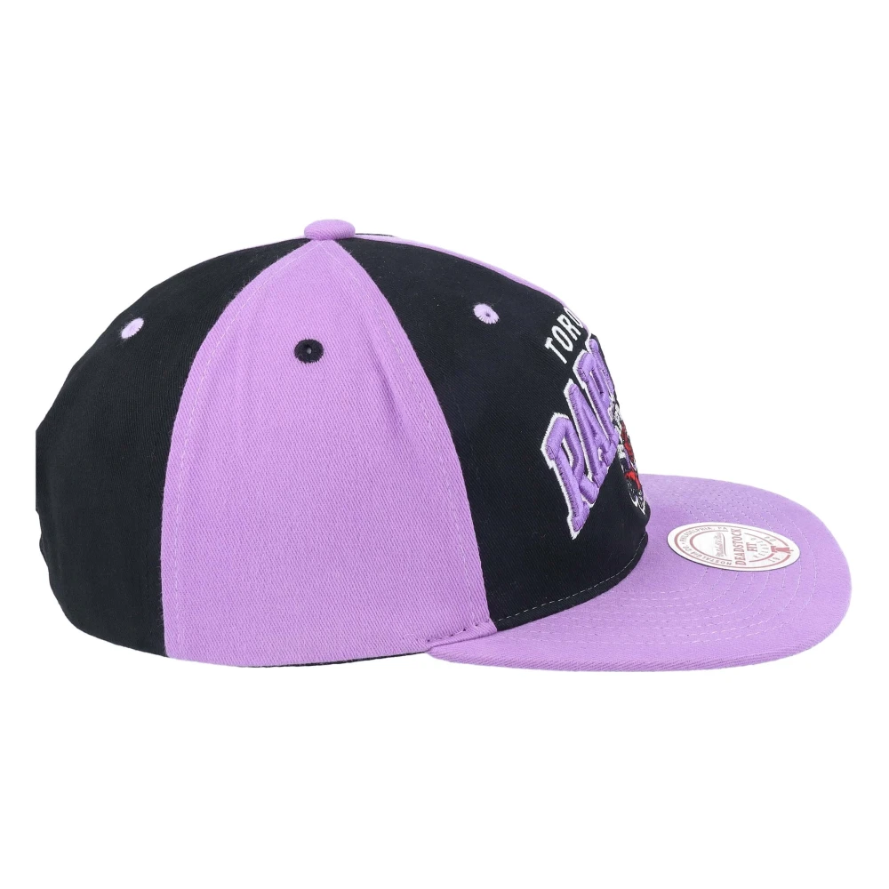 Mitchell & Ness Toronto Raptors Pet Multicolor Heren