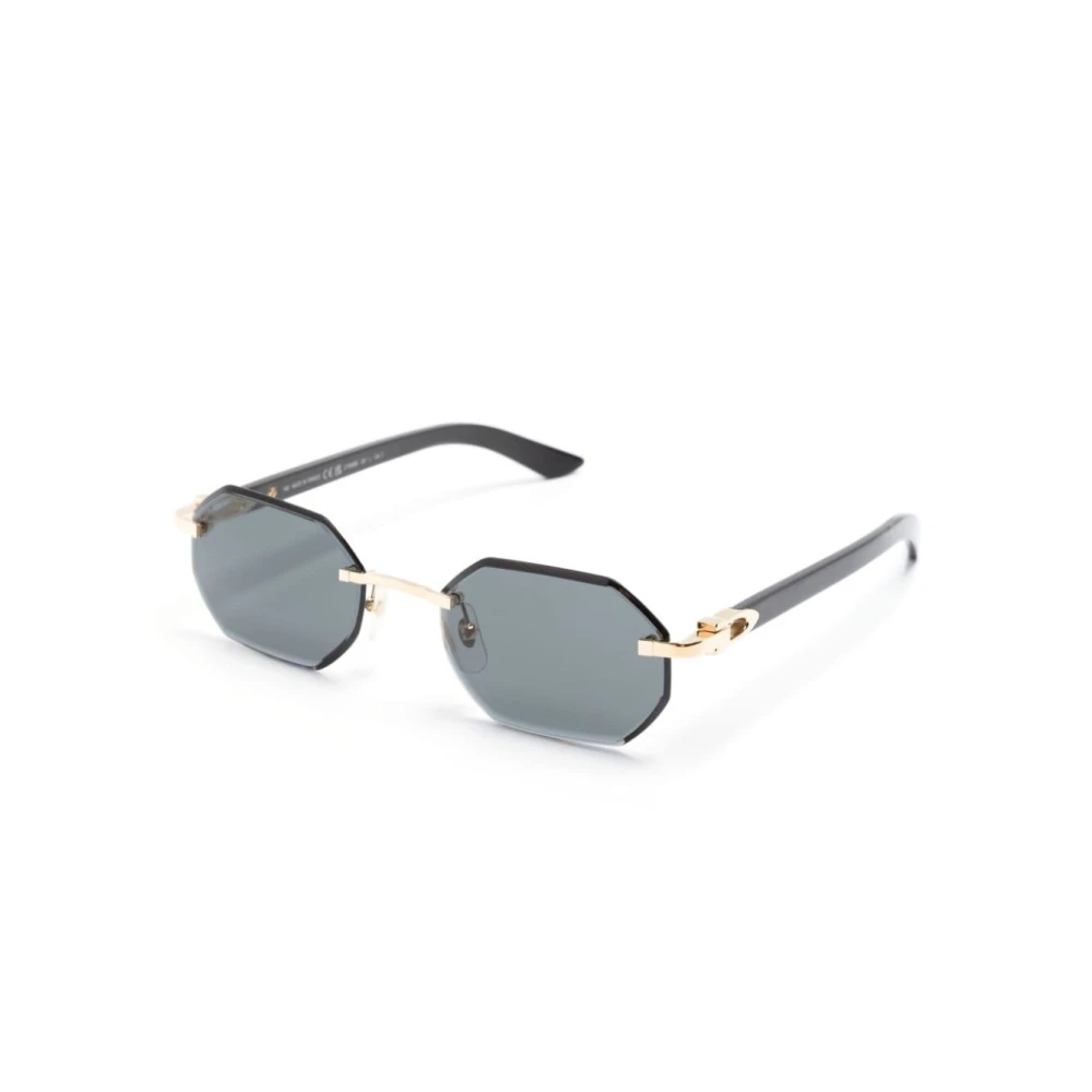 Cartier Men's Black Sunglasses, 54 Mm, Ct0439s Sunglasses