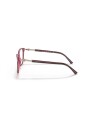 vista-elegant-glasses