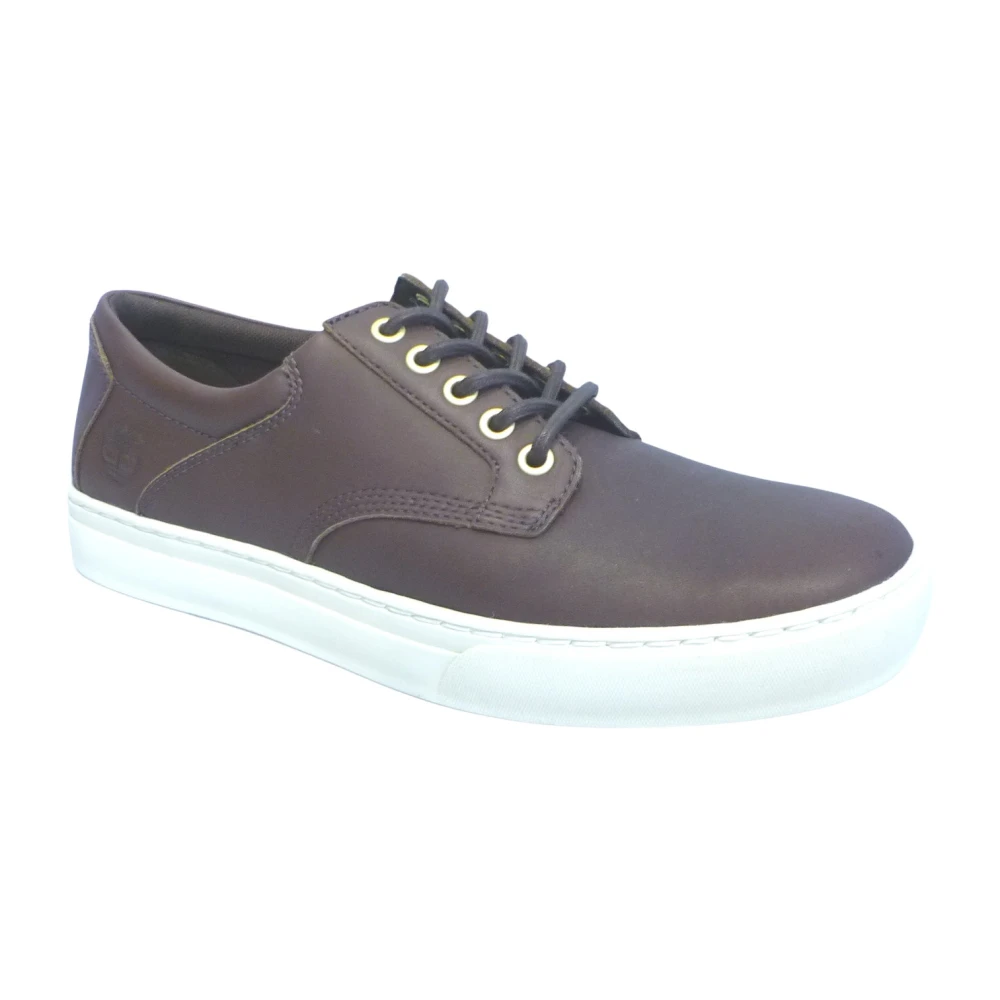 Shoes > Sneakers - - Timberland - Modalova