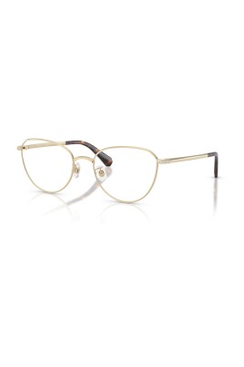 sk1029d-4013-optical-frame