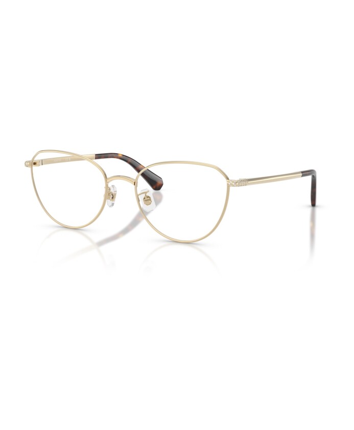 sk1029d-4013-optical-frame
