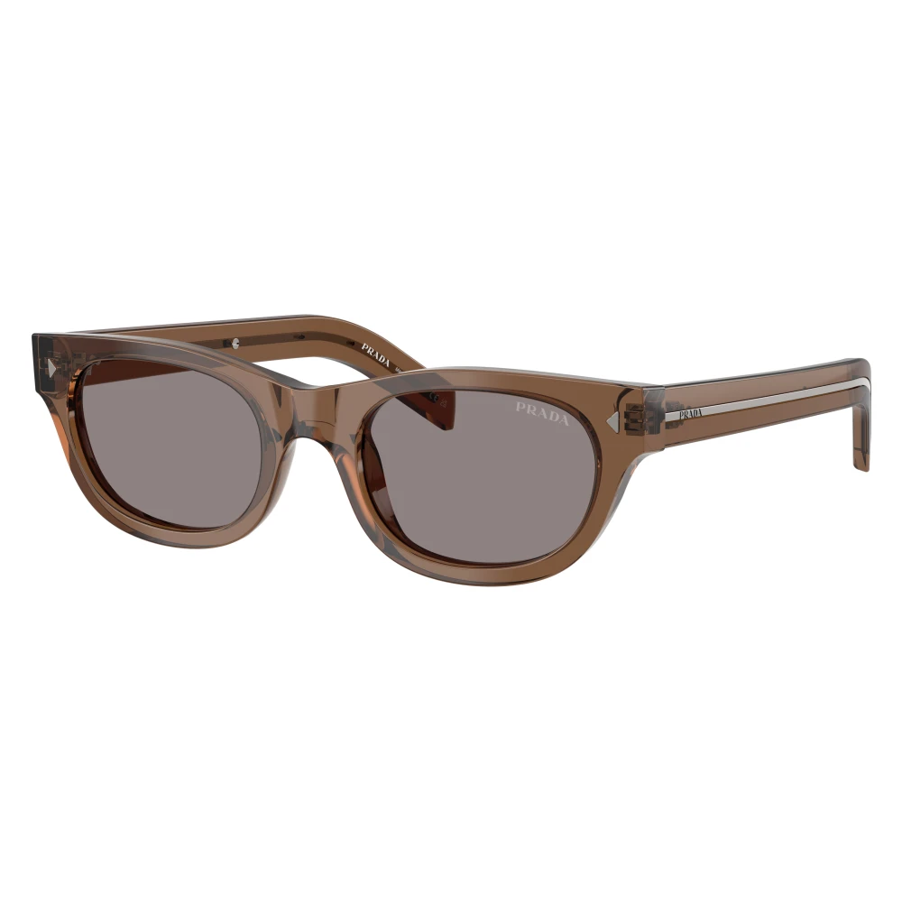Prada Unisex Bruin Pr C09s Sunglasses