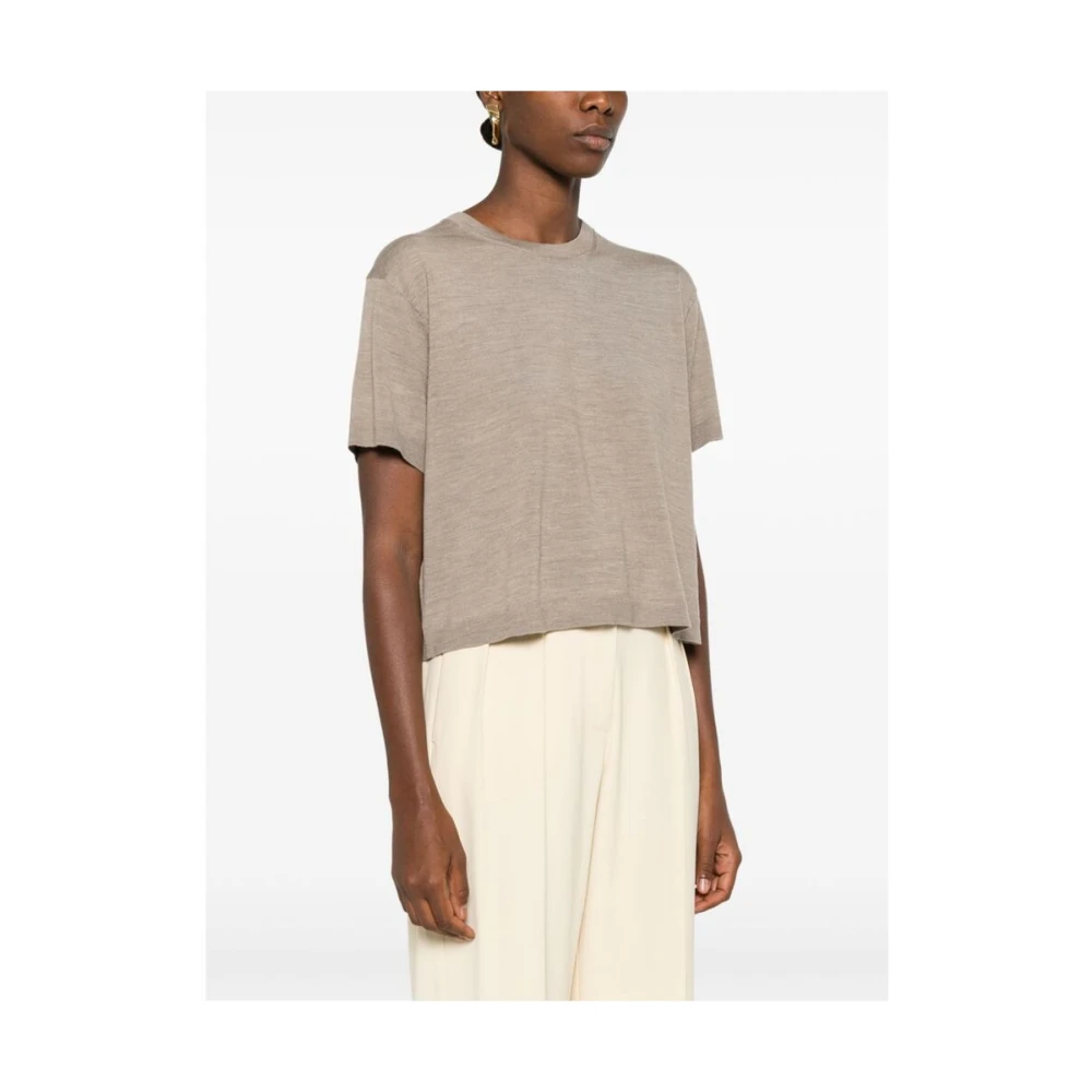 Theory Merino Wol Crew Neck T-shirt Brown Dames