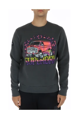 Grå Tryckt Sweatshirt med Rund Hals