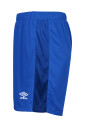 teamwear-trophy-short-ad-shorts