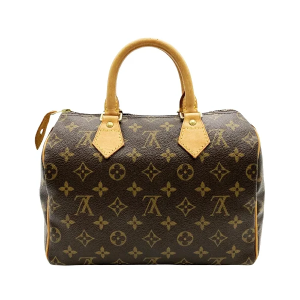 Louis Vuitton Vintage Pre-owned Cotton handbags Brown Dames