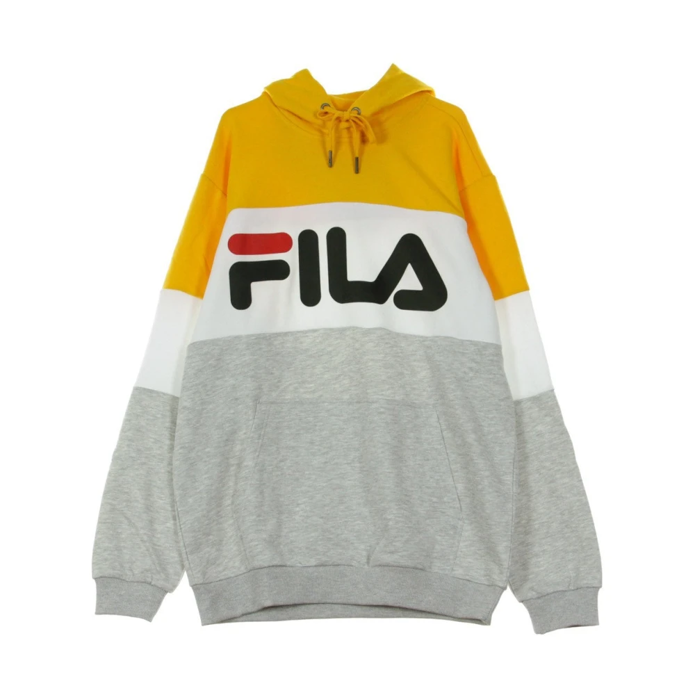 Fila Geblokkeerde Hoodie Lichtgrijs Melange Multicolor Heren