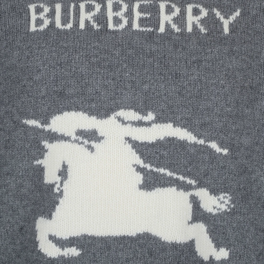 Burberry Grijze Sweater Collectie Gray Heren
