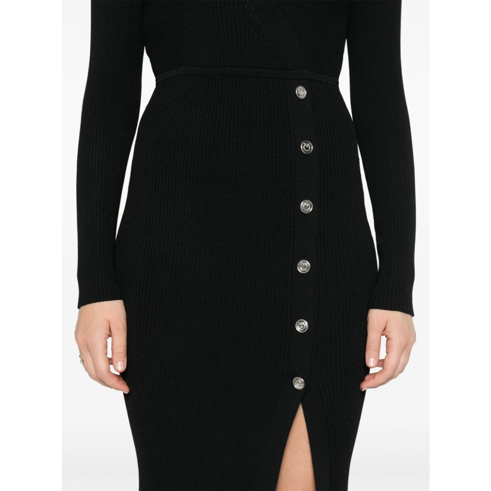 pinko Zwarte Limousine Helderheid Black Dames