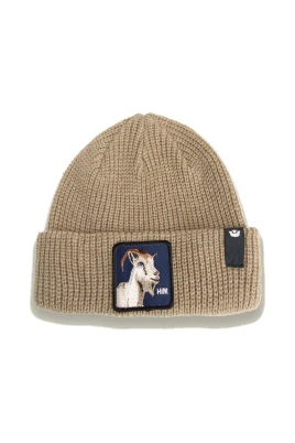 HIM Beanie