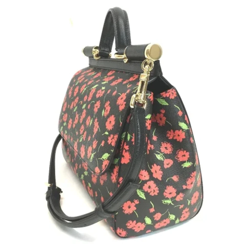 Dolce & Gabbana Pre-owned Leather handbags Multicolor Dames