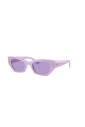 lunettes-de-soleil-rb4430-pour-un-look-elegant