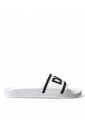 elegant-white-logo-slides