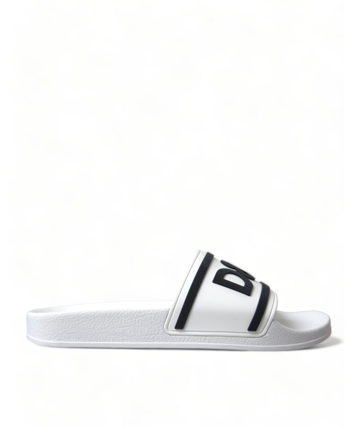 elegant-white-logo-slides