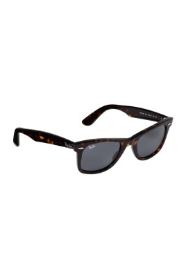 classic-wayfarer-sunglasses