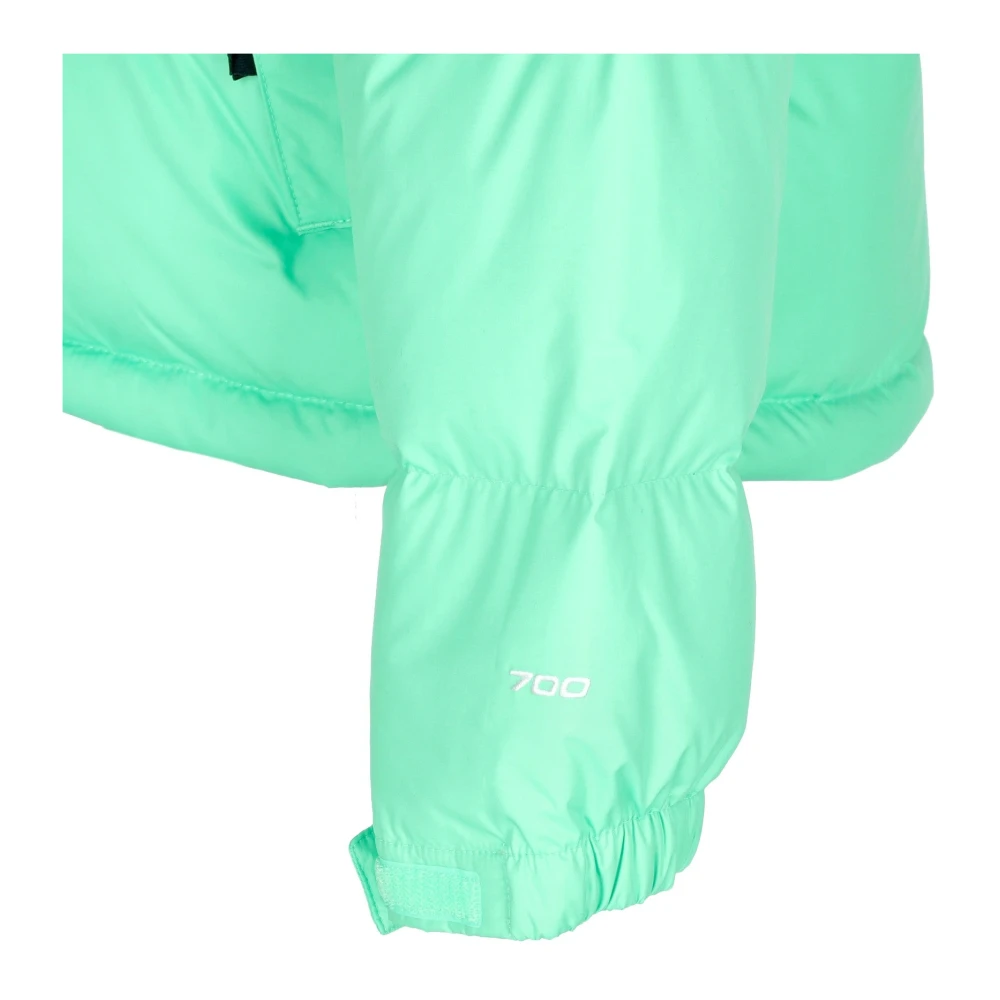 The North Face Retro Nuptse Donsjack Groen Green Heren