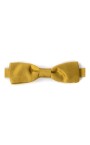 papillon-homme