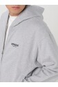 sweat-a-capuche-gris