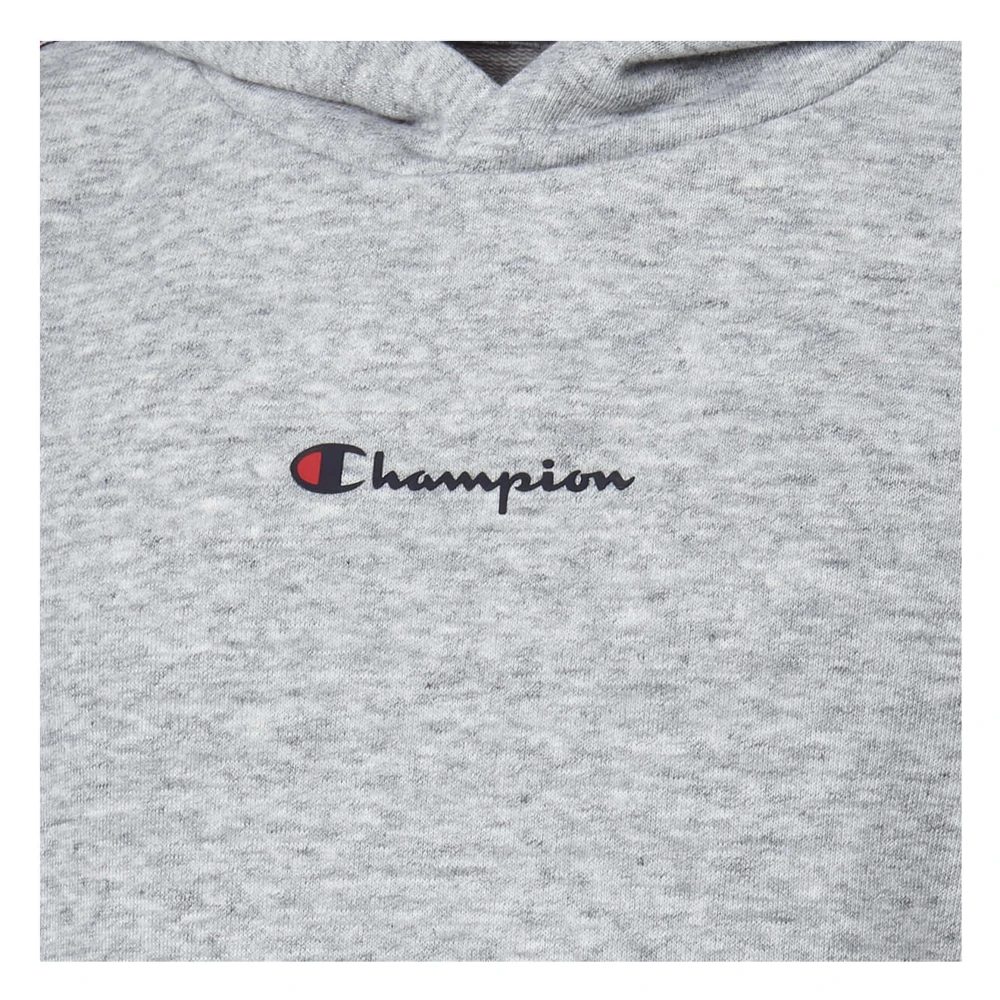 Champion Hoodie Gray Heren