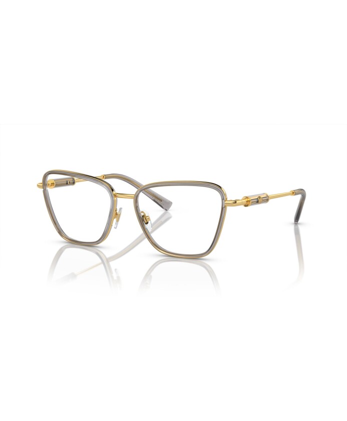 monture-lunettes-transparente-grise