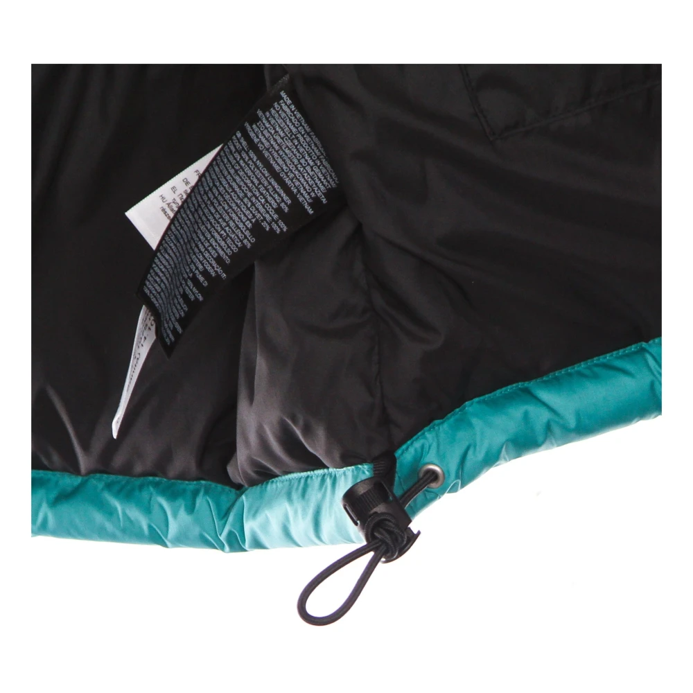 The North Face Groene Dons Parka Jas Green Heren