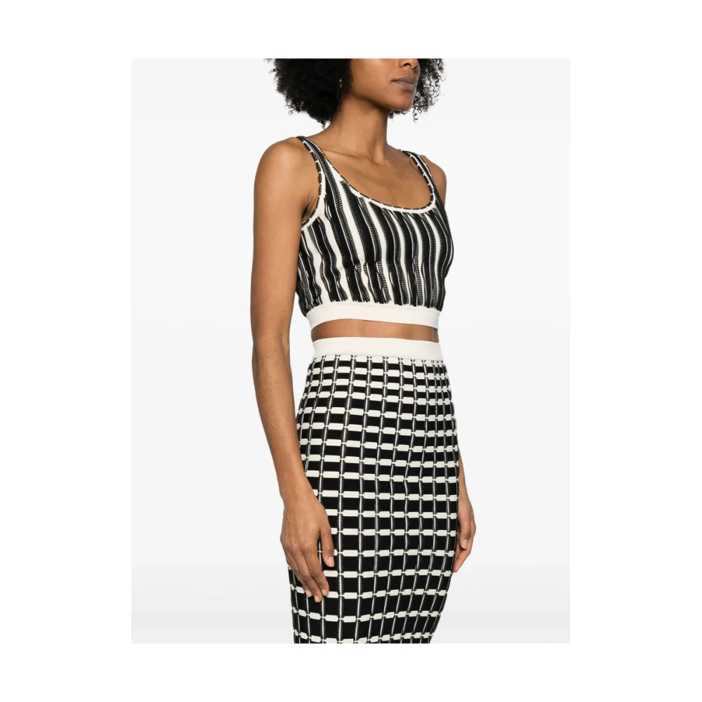 Elisabetta Franchi Zwart Gestreepte Scoop Neck Top Black Dames