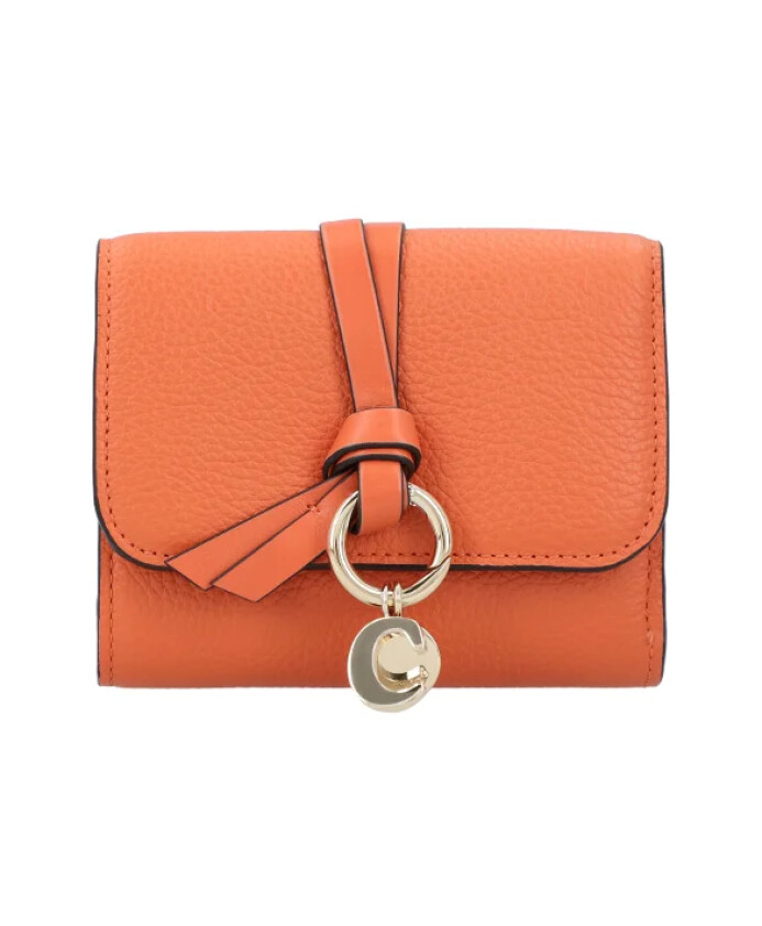 portefeuille-en-cuir