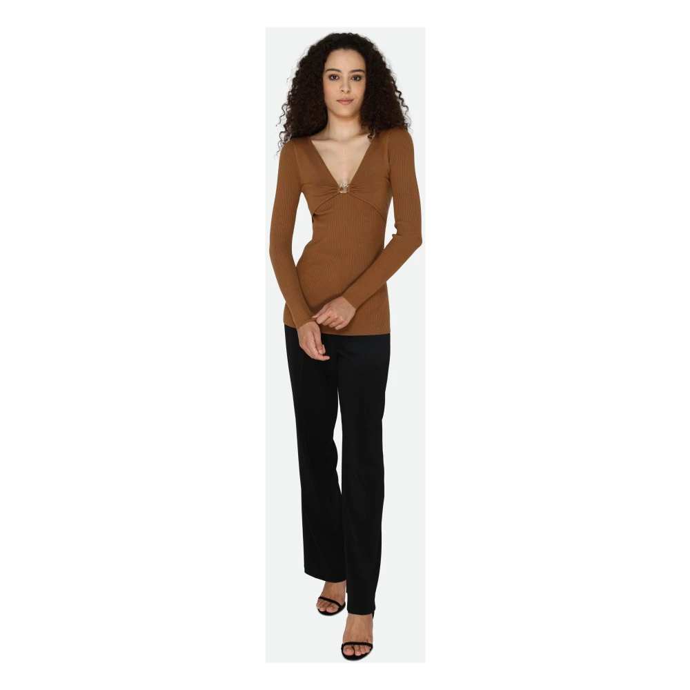 pinko Bruine V-Hals Ribtrui Brown Dames