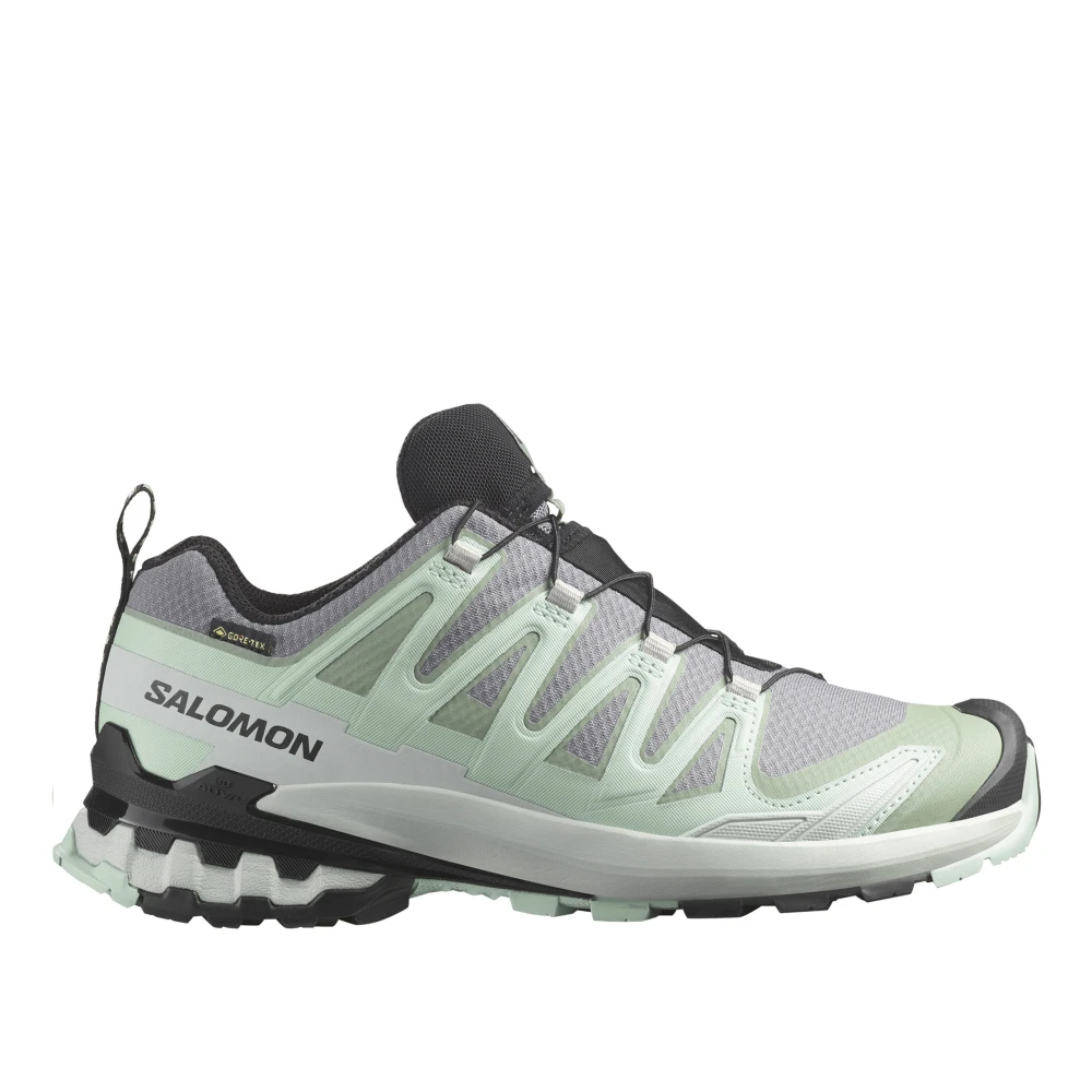 Salomon 3D V9 GTX Terränglöparskor Gray, Dam