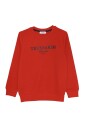lichte-katoenen-crewneck-sweatshirt-met-print