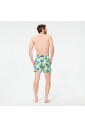 tropical-turtles-swim-shorts