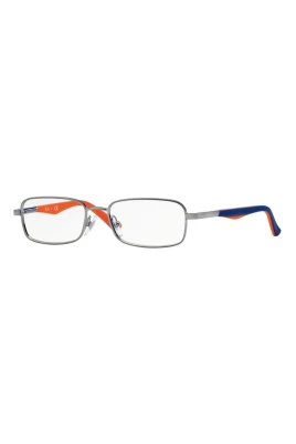 Vision Glasögon