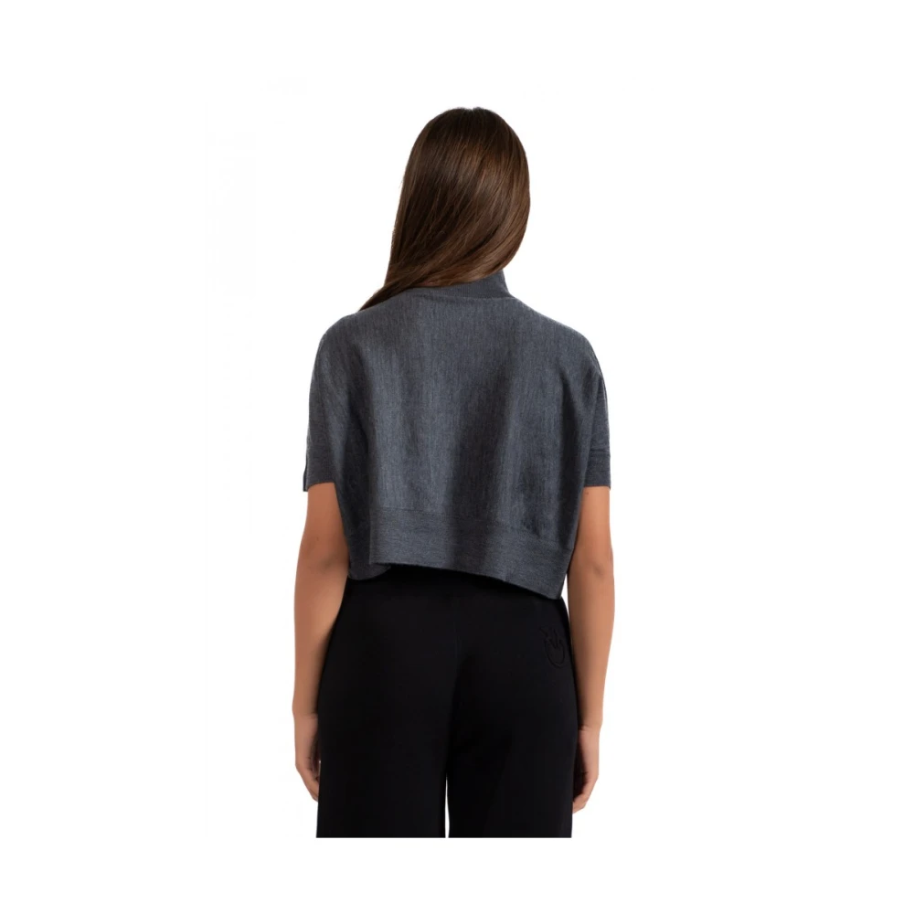 pinko Dames Korte Mouw Top Gray Dames