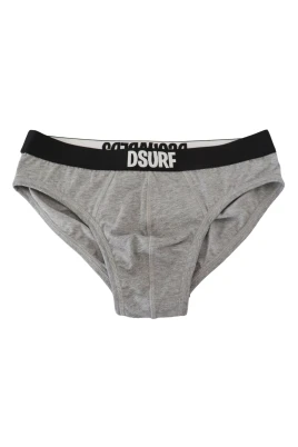 DSURF Brief